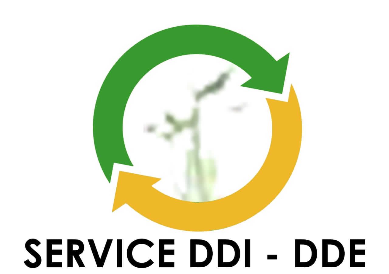 Service DDI DDE Guinée